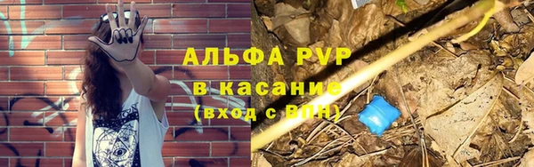 СК Балахна