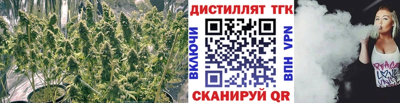 даркнет официальный сайт  Лермонтов  Дистиллят ТГК концентрат 