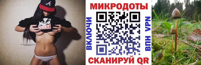 маркетплейс наркотические препараты  Лермонтов  Псилоцибиновые грибы Psilocybine cubensis 